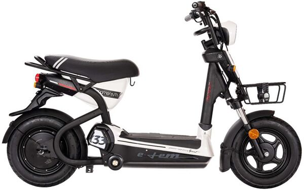 Xe điện Giant ELEM 133***